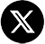 x logo